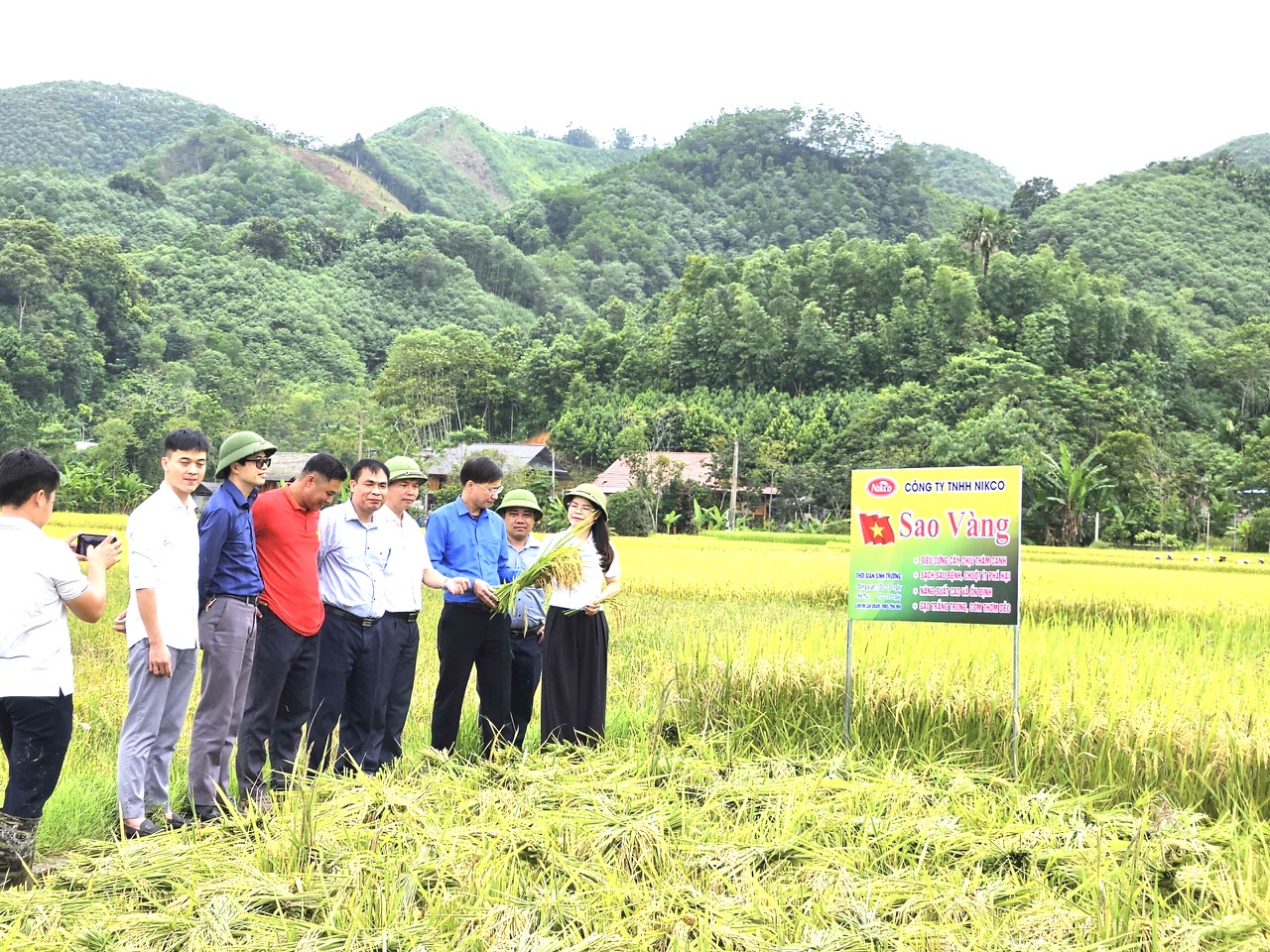 THỐNG KÊ CƠ SỞ BẮC QUANG NẮM TÌNH HÌNH SẢN XUẤT QUA CÁC MÔ HÌNH LÚA HG507 VÀ CÁNH ĐỒNG "5 CÙNG"